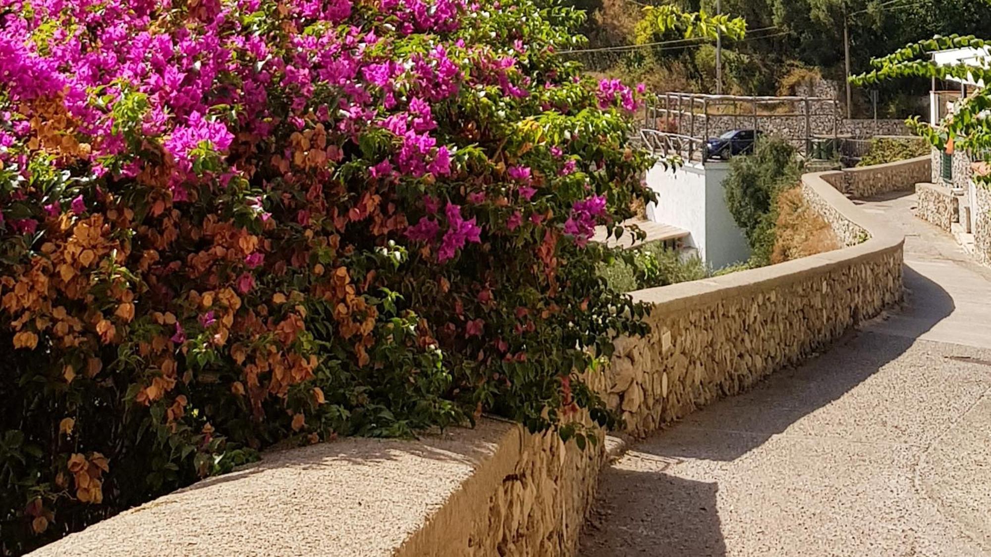 Aparthotel Al Poggio Antico Amalfi Esterno foto